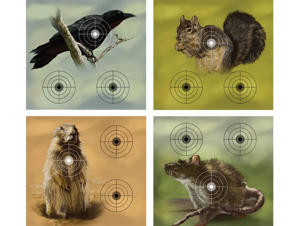 Crosman VARMINT TARGETS Luchtdruk Schietkaart 23x25 centimeter verpakking 20 stuks Crosman VARMINT TARGETS Luchtdruk Schietkaart 23x25 centimeter verpakking 20 stuks